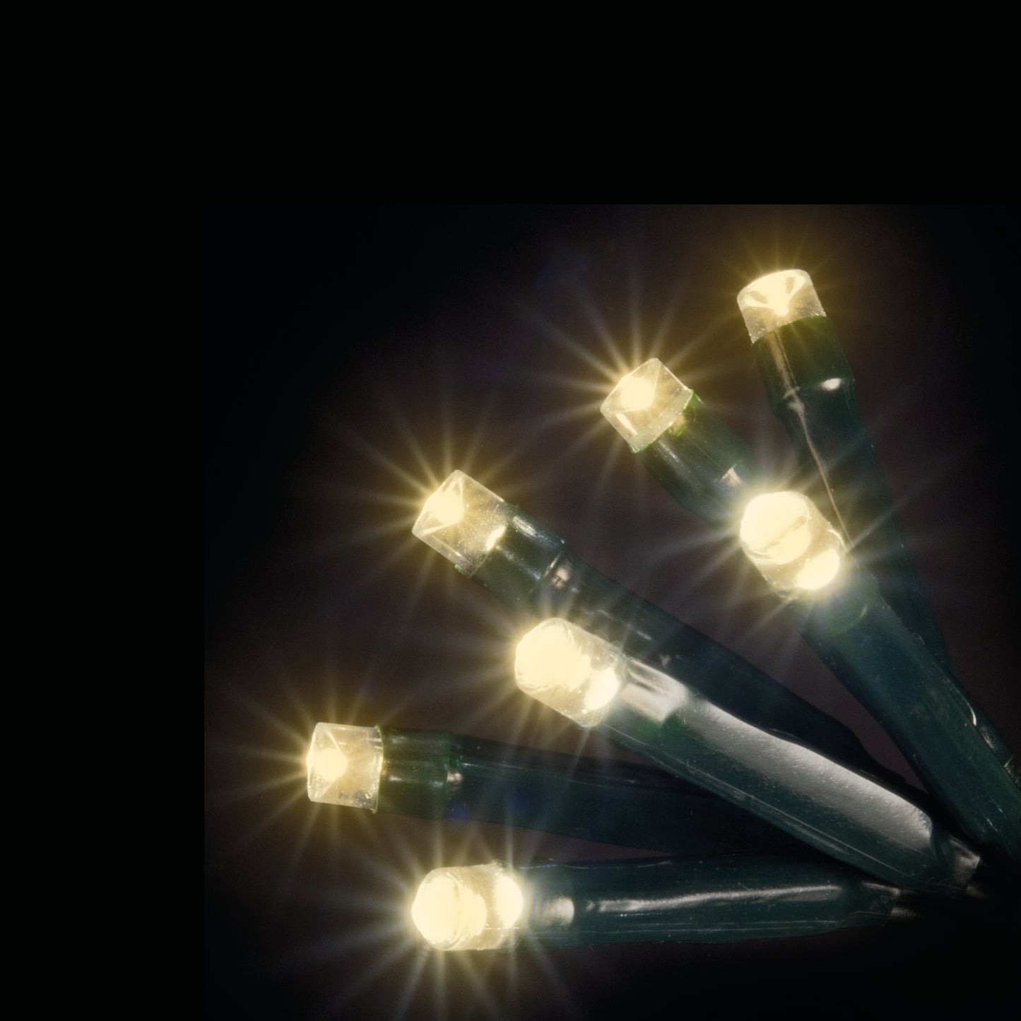 Snowtime Indoor 50 Warm White LEDs Christmas Lights With Timer Battery Powered - Cater-Connect Ltd