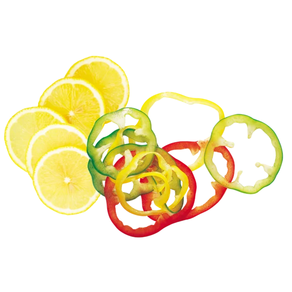 Robot Coupe 27555 Essential Slicer Disc 2mm - Cater-Connect Ltd