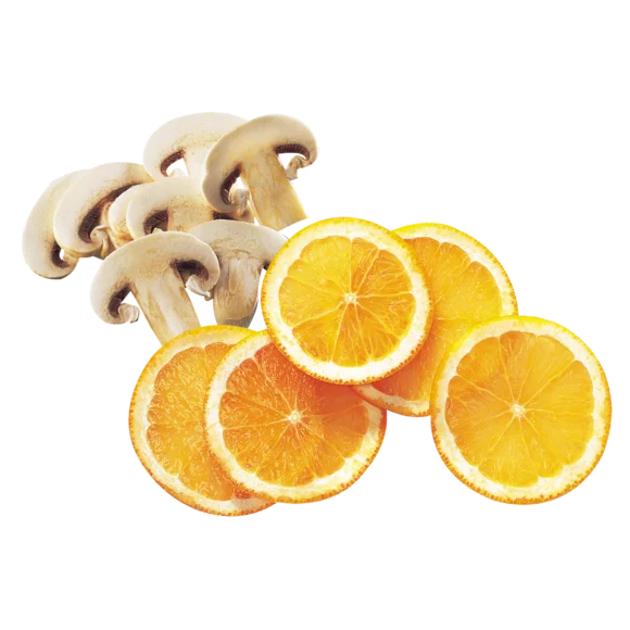 Robot Coupe 27086 Essential Slicer Disc 3mm - Cater-Connect Ltd