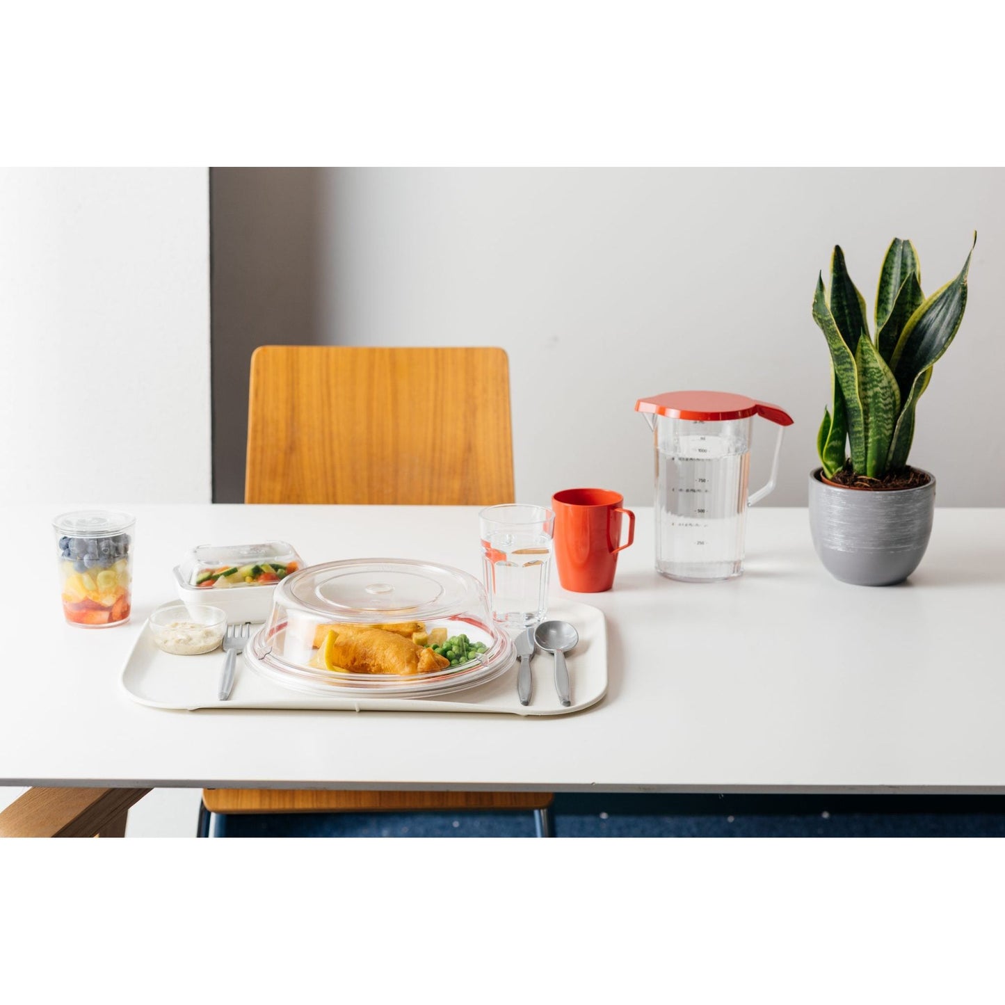 Foodservice Clear Polycarbonate Plate Cover 25cm