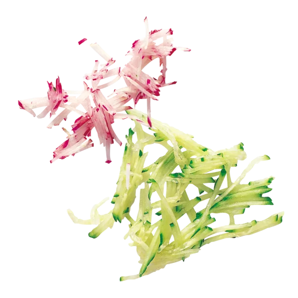 Robot Coupe 27599 Essential Julienne Disc 2 x 2mm - Cater-Connect Ltd