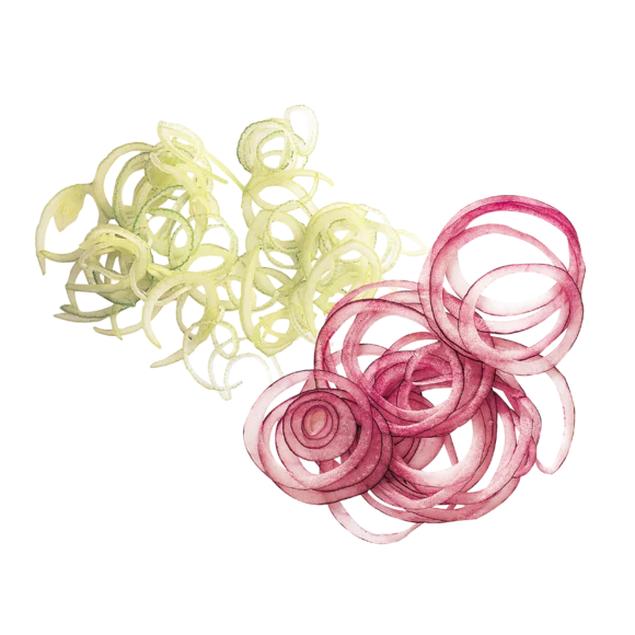 Robot Coupe 27051 Essential Slicer Disc 1mm - Cater-Connect Ltd