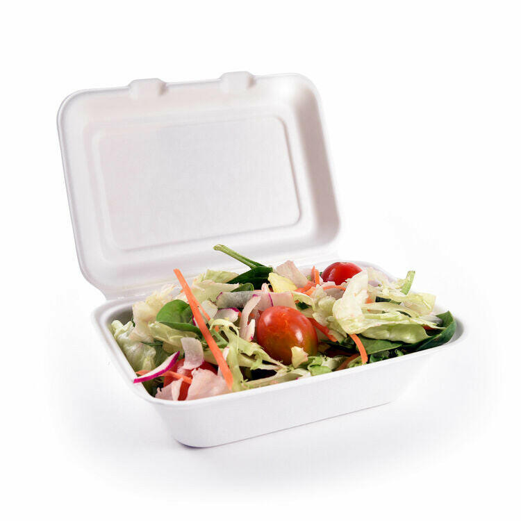 Recyclable Bagasse Clamshell Boxes 7 x 5 Case Size 250 - Cater-Connect Ltd
