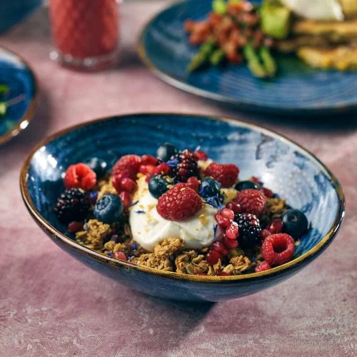 GenWare Terra Porcelain Aqua Blue Organic Coupe Bowl 26.5cm Case Size 6