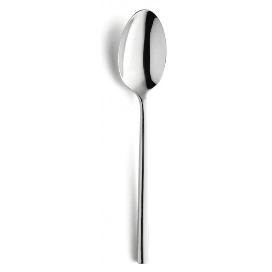Amefa Colorado Serving Spoons Case Size 12 - Cater-Connect Ltd