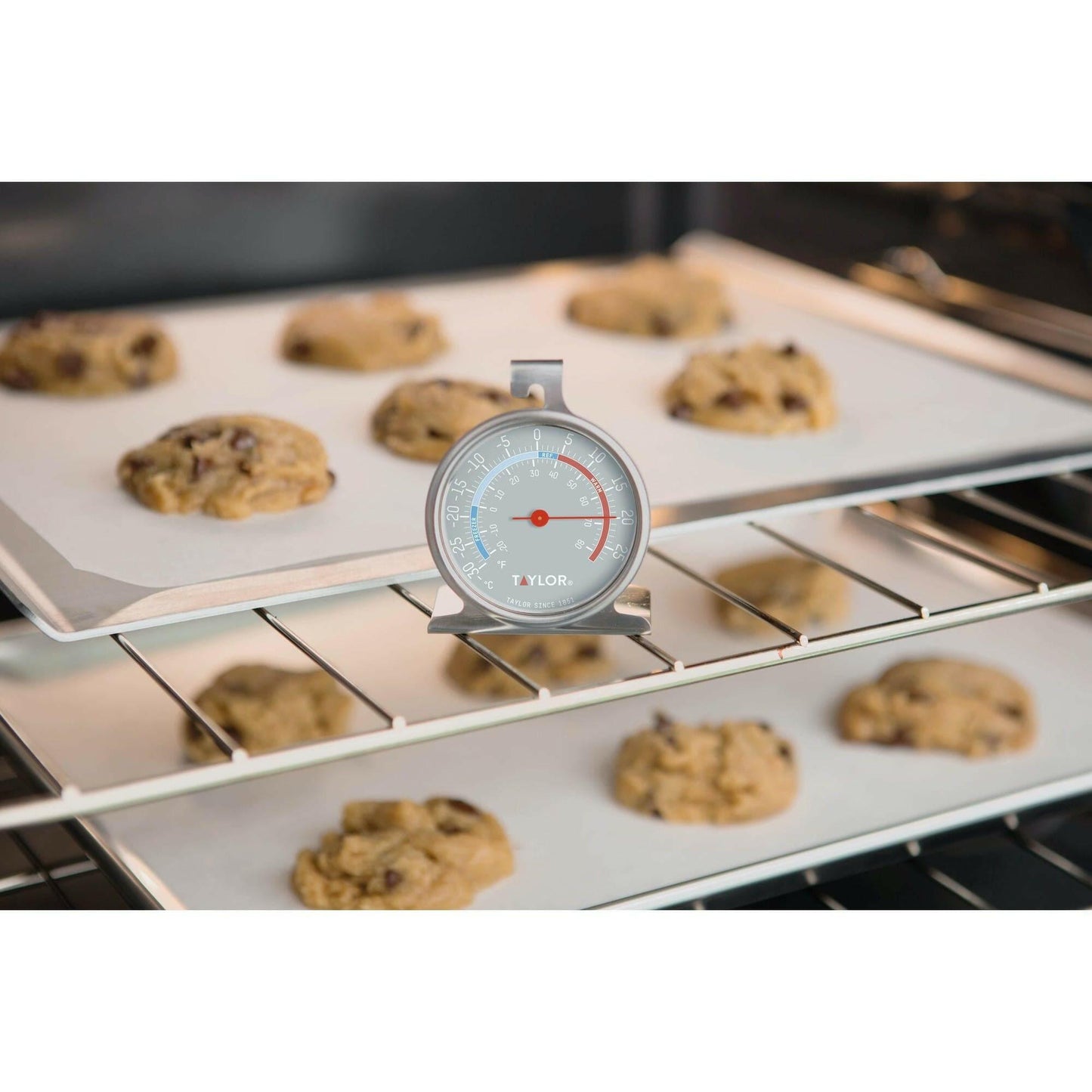 Taylor Pro Stainless Steel Freezer and Fridge Temperature Thermometer.
