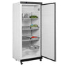 Tefcold UR600W1 White Single Door Upright Fridge 620 Litres