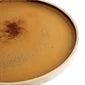 Olympia FA308 Canvas Flat Round Plate Sienna Rust 250mm Case Size 6