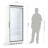 Polar CD088 C-Series Upright Single Door Display Fridge 600Ltr